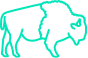 Buffalo Icon